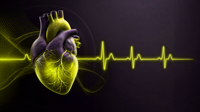 Kardiyoloji Klinikleri İçin SEO Rehberi 9 hf 20260624 124020 787f37c7 aca2 4c73 85ae ddf86c4ff16f