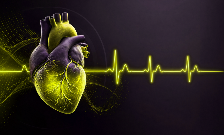 Kardiyoloji Klinikleri İçin SEO Rehberi 1 hf 20260624 124020 787f37c7 aca2 4c73 85ae ddf86c4ff16f