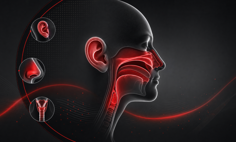 KBB (Kulak Burun Boğaz) Klinikleri İçin SEO Rehberi 1 hf 20260624 124020 c28d73c1 7a48 47d0 a217 02d1e9e75b33