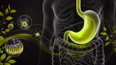 Gastroenteroloji Klinikleri İçin SEO Rehberi 5 hf 20260624 141225 284745a4 a7b7 49fa 9203 df063e0470ff