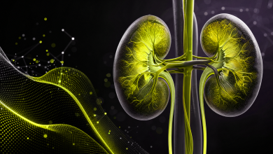 Nefroloji (Böbrek Sağlığı) Klinikleri İçin SEO Rehberi 3 hf 20260624 142436 14ff106b 91a2 4590 8e7e a65dd72fd923
